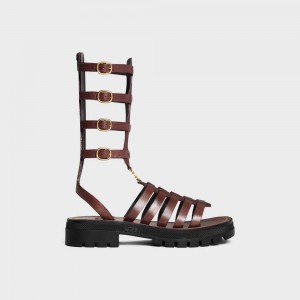 Dark Brown Celine CLEA TRIOMPHE GLADIATOR MID in CALFSKIN & VEGETAL TANNING Sandals | CL-592576