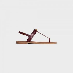 Dark Burgundy Celine Triomphe Thong in CROCODILE STAMPED CALFSKIN Sandals | CL-592589