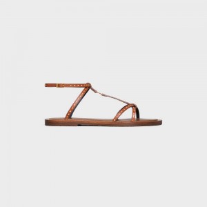 Tan Celine TAILLAT FLAT WITH STUDS in CALFSKIN - VEGETAL TANNING & STUDS Sandals | CL-592587